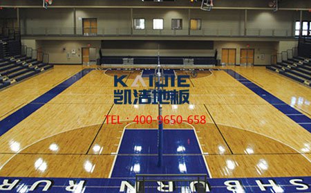 **籃聯(lián)籃球場(chǎng)館專用設(shè)計(jì)標(biāo)準(zhǔn)-籃球木地板