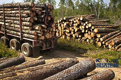 運(yùn)動木地板的色差，這是科學(xué)的解釋！-籃球地板網(wǎng)