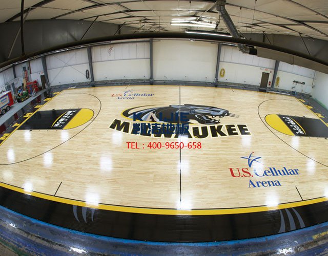 籃球館專用運(yùn)動(dòng)木地板,籃球運(yùn)動(dòng)地板,體育運(yùn)動(dòng)木地板,運(yùn)動(dòng)木地板廠家