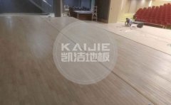 國(guó)內(nèi)實(shí)木運(yùn)動(dòng)地板廠家直銷-實(shí)木運(yùn)動(dòng)地板