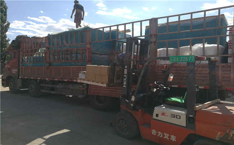 山東日照大型籃球場專用木地板項目發(fā)貨