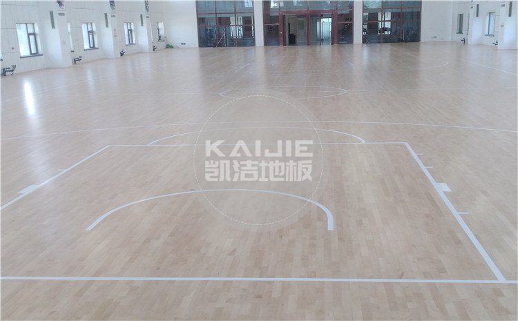 空中交通管制綜合訓(xùn)練場(chǎng)籃球館木地板圖片