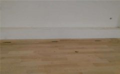 籃球場(chǎng)木地板專(zhuān)用要求是什么-籃球場(chǎng)木地板