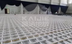 泰州實(shí)木運(yùn)動(dòng)地板品牌-凱潔地板